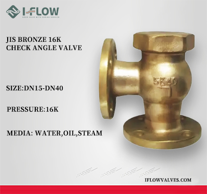 Bronze16K Lift Check Angle Valve