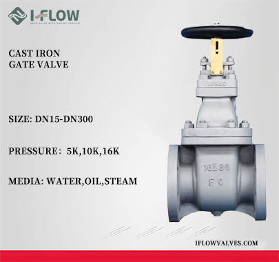 I-FLOW JIS F7364 Cast Iron Gate Valve