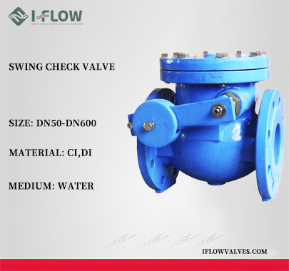 BS 5153 PN16 Cast Iron Swing Check Valve