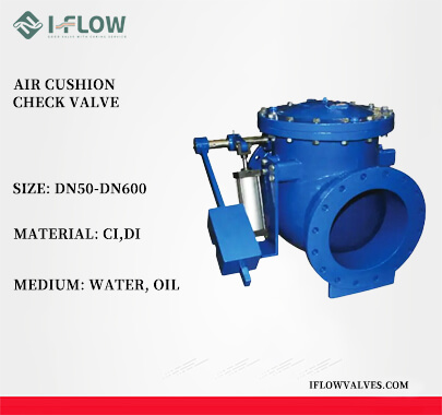 I-FLOW Air Cushion Check Valve