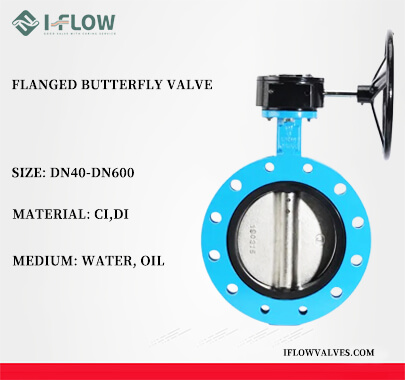 Flange Butterfly Valve Overview