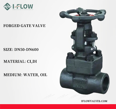 Built for Strength and Precision Forged Gate Valve