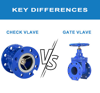 Gate Valve VS Check Valve