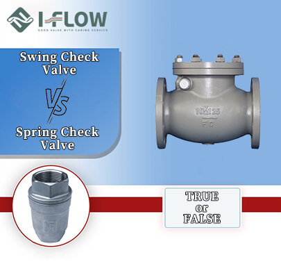 What Is The Difference Between Swing Check and Spring Check Valve
