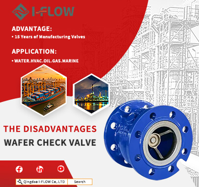 What Are The Disadvantages of Wafer Check Valves