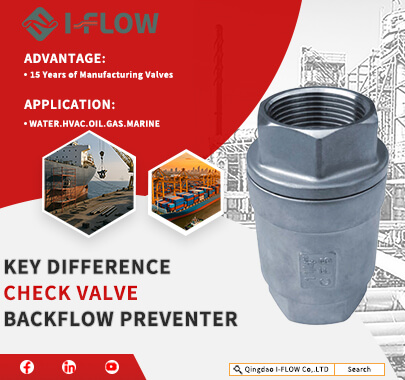 What Is The Real Difference Between Check Valve and Backflow Preventer